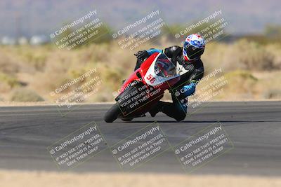 media/Nov-11-2023-SoCal Trackdays (Sat) [[efd63766ff]]/Turn 16 (11am)/